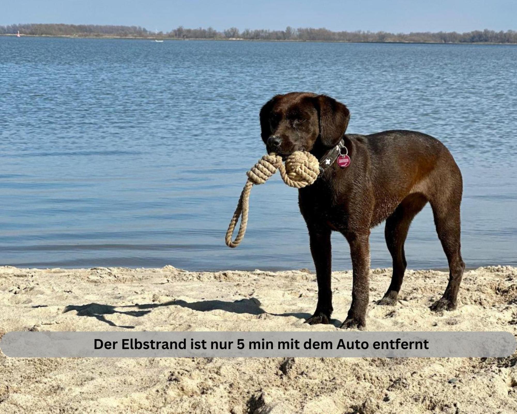 Lodge Of Africa - Einzigartige Themenzimmer, Eingezaeunten Garten, Sauna, Whirlpool & Kamin, Hunde Willkommen, Gasgrill, Voll Ausgestattete Kueche, Grosser Essbereich, Hamburg & Stade In Der Naehe Twielenfleth Buitenkant foto