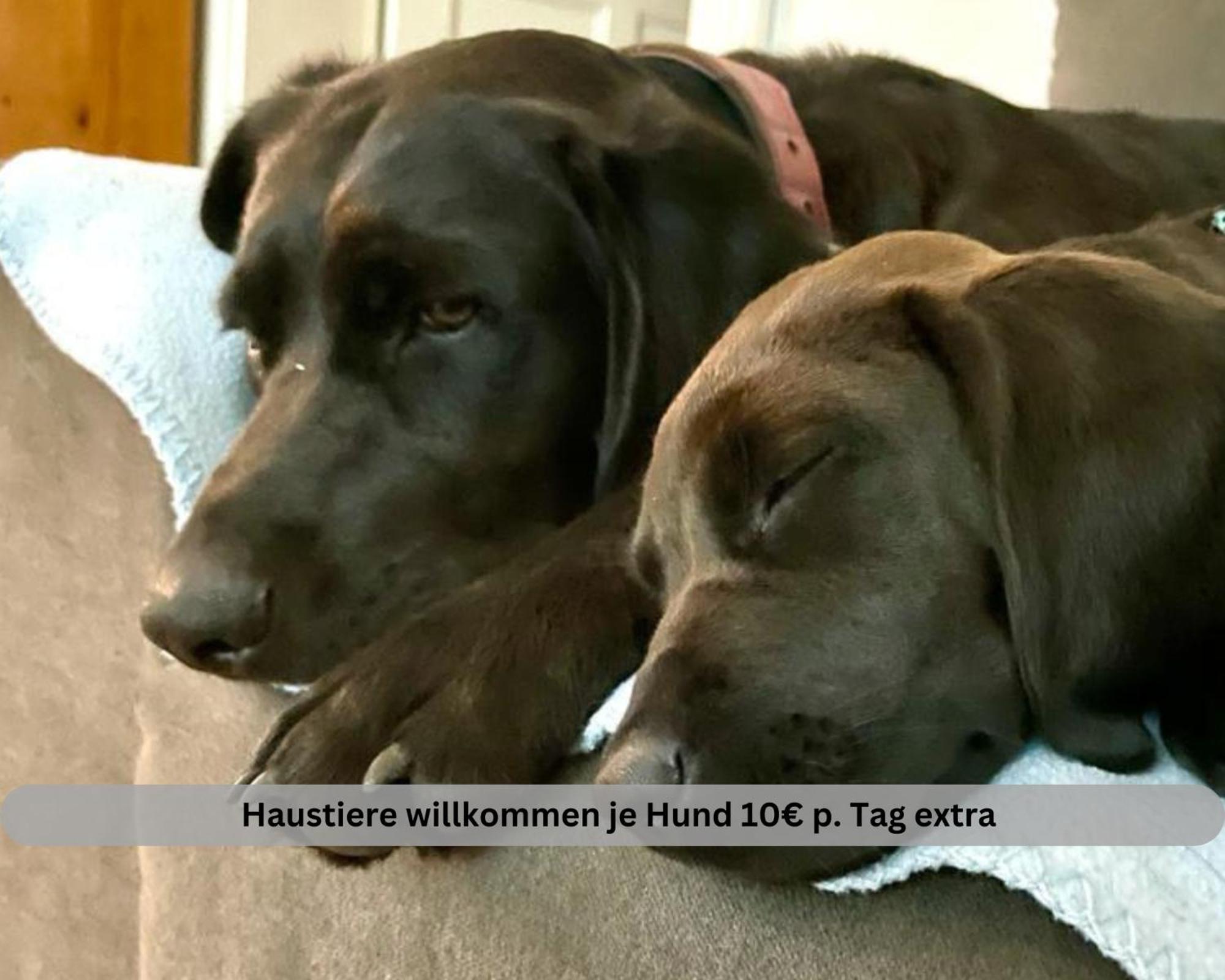 Lodge Of Africa - Einzigartige Themenzimmer, Eingezaeunten Garten, Sauna, Whirlpool & Kamin, Hunde Willkommen, Gasgrill, Voll Ausgestattete Kueche, Grosser Essbereich, Hamburg & Stade In Der Naehe Twielenfleth Buitenkant foto