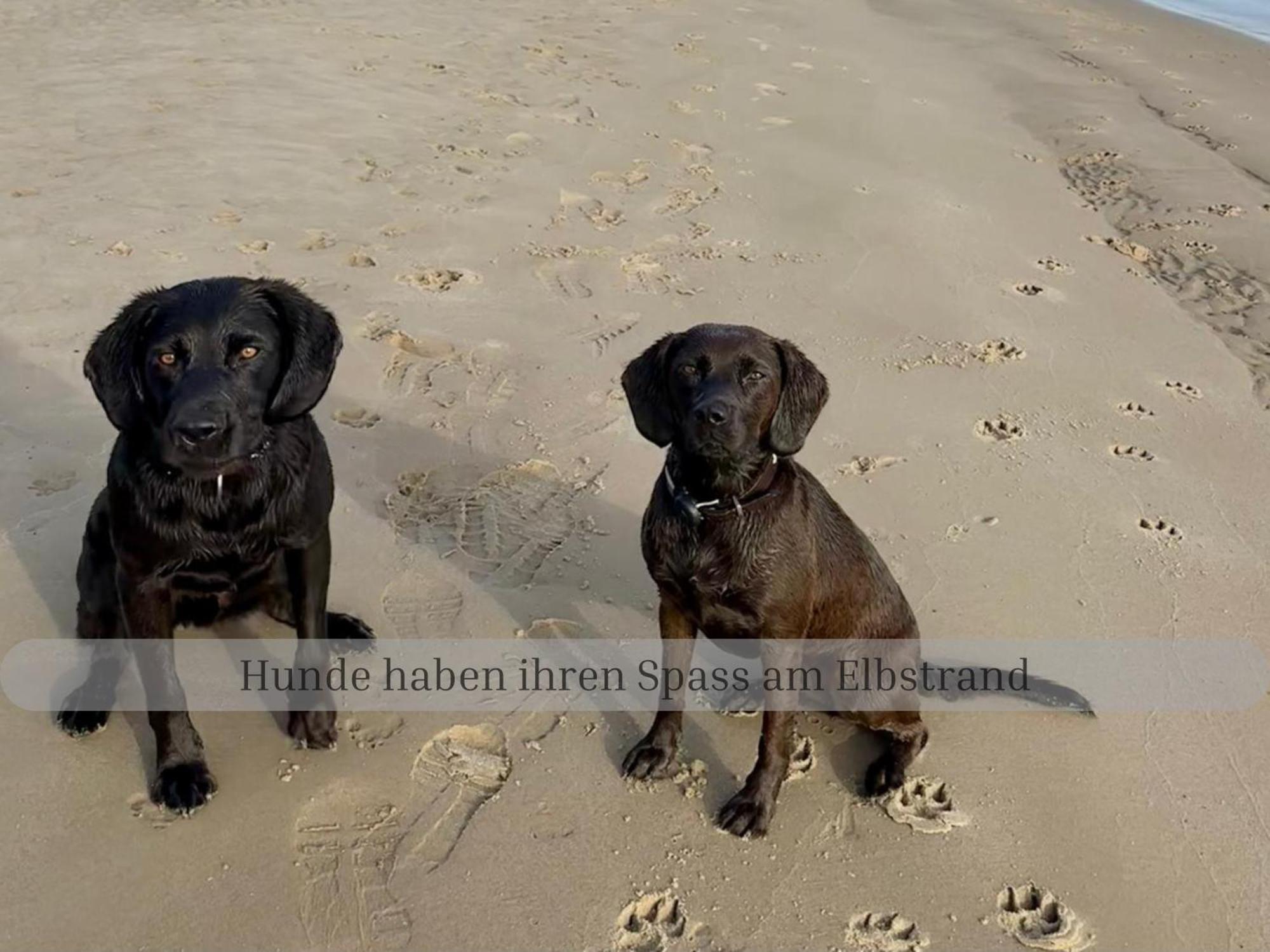 Lodge Of Africa - Einzigartige Themenzimmer, Eingezaeunten Garten, Sauna, Whirlpool & Kamin, Hunde Willkommen, Gasgrill, Voll Ausgestattete Kueche, Grosser Essbereich, Hamburg & Stade In Der Naehe Twielenfleth Buitenkant foto